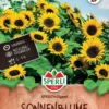 Sonnenblume SPERLI's Gigant, Nektarspender, Blühender Sichtschutz, Bis 4 Meter Wuchshöhe