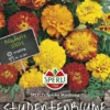 Studentenblume SPERLI´s Sparky Mischung, Vielfarbige Beetmischung