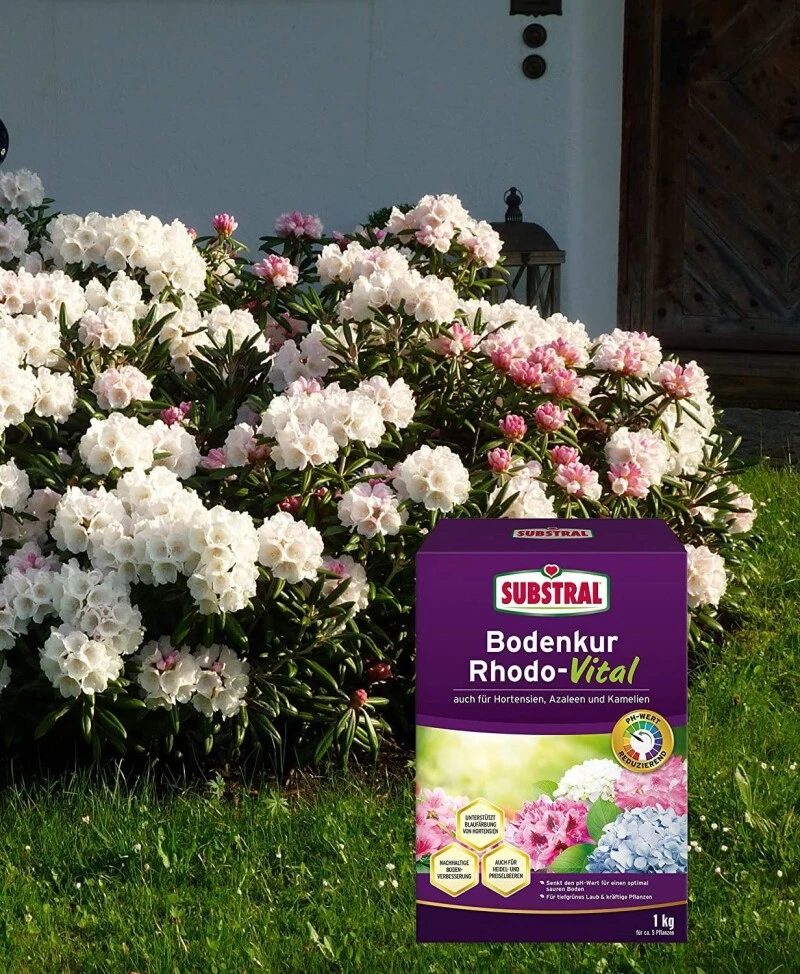 Substral Bodenkur Rhodo-Vital, 1 Kg Für Ca. 5 Pflanzen 2 Substral Bodenkur Rhodo-Vital, 1 Kg Für Ca. 5 Pflanzen – Bild 2