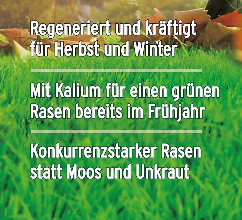 Substral Herbst Rasendünger, 12,5kg Für 500qm, Kaliumreicher Spezial-Rasendünger Mit Lang Anhaltender Wirkung 8 Substral Herbst Rasendünger, 12,5kg Für 500qm, Kaliumreicher Spezial-Rasendünger Mit Lang Anhaltender Wirkung – Bild 8