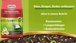 Substral Vertikutiermix 4 Kg Für 133m² -Günstiges Blueten Haus Geschäft substral vertikutiermix 4 kg fuer 133m4