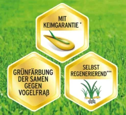 Substral Vertikutiermix 4 Kg Für 133m² -Günstiges Blueten Haus Geschäft substral vertikutiermix 4 kg fuer 133m7