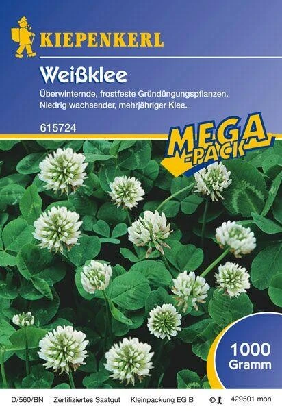 Weissklee Gründünger | 1kg Für Ca. 250 M² | Für Bodendurchlüftung Und Beschattung | Nektarspender 1 Weissklee Gründünger | 1kg Für Ca. 250 M² | Für Bodendurchlüftung Und Beschattung | Nektarspender