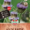 Wilde Karde Zweijährig Nützlingsmagnet Schnell Keimend