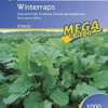 Winterraps Gründünger 1kg